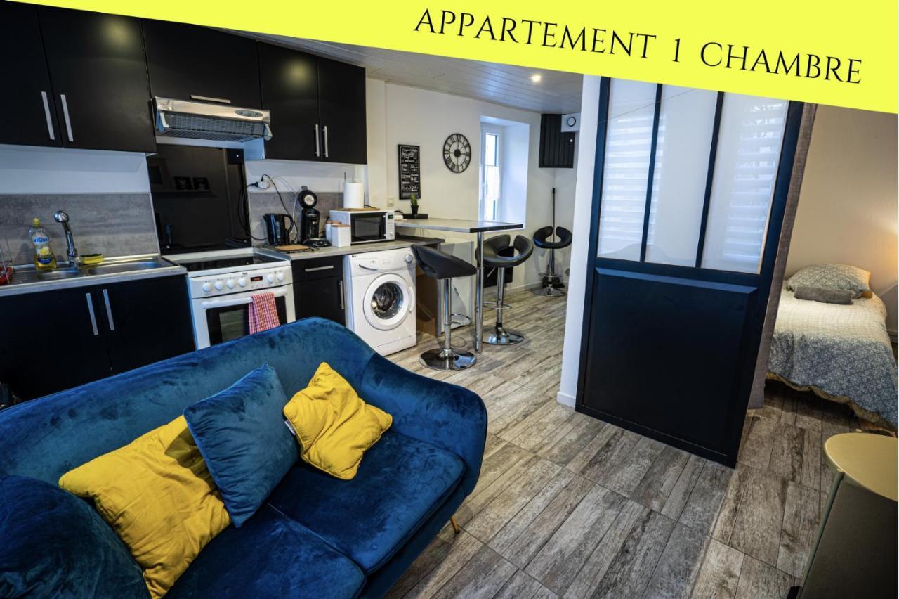 Du Pont Joubert Apartment Poitiers